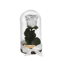 Örökrózsa üvegbúrában - ezüst színű rózsafejjel