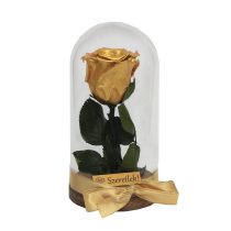 Örökrózsa üvegbúrában - arany színű rózsafejjel