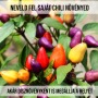 Aurora Chilli növényem fa kaspóban