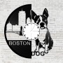 Bakelit óra - Boston Terrier
