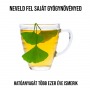 Ginkgo Biloba növényem fa kockában