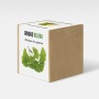 Ginkgo Biloba növényem fa kockában