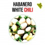 Habanero white chili paprika növényem fa kaspóban