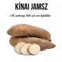 Kínai jamsz növényem fa kockában Kínai jamsz növényem fa kockában