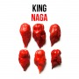 King Naga chili paprika növényem fa kockában