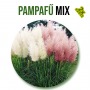Pampafű mix növényem fa kockában