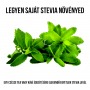 Stevia növényem fa kockában