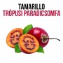 Tamarillo - Trópusi paradicsomfa - növényem fa kockában