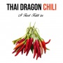 Thai Dragon chili növényem fa kockában